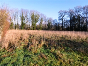 terrain agricole à la vente -   56160  LOCMALO, surface 4900 m2 vente terrain agricole - UBI464351384